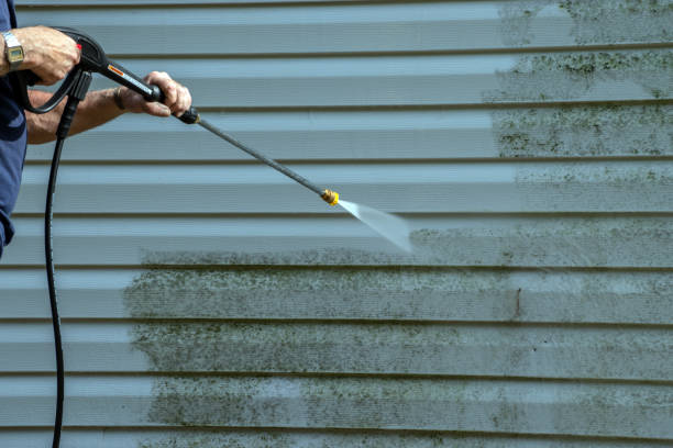 Best Pool Deck Cleaning  in South Roxana, IL
