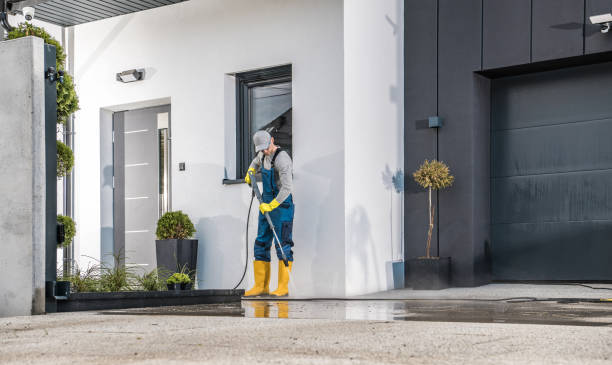 Best Animal Enclosure Cleaning  in South Roxana, IL